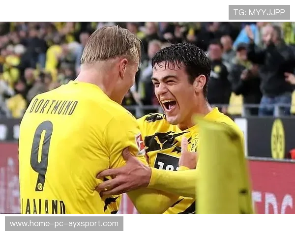 多特雷纳弧顶推射皮球撞柱入网——天赋与训练在一粒进球中的对话 多特雷纳弧顶推射皮球撞柱入网——天赋与训练在一粒进球中的对话